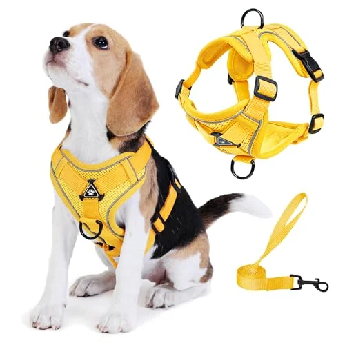 No Pull Dog Harness Set — yellow