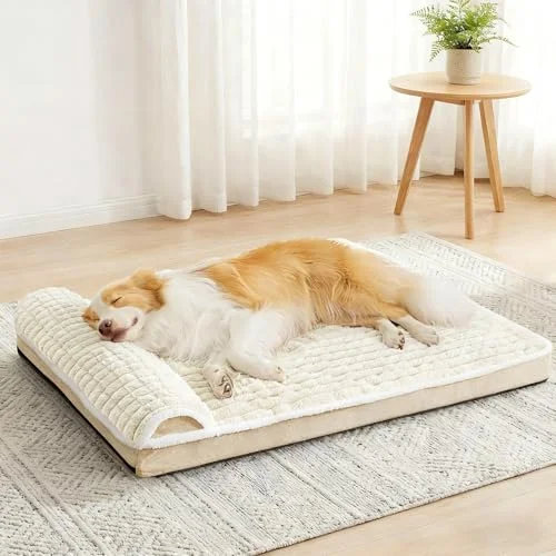 Large Orthopedic Dog Bed — cream